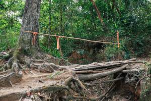 BIB: 
                            <button type="button" onclick="openModal(27725000)" class="btn btn-primary btn-sm float-right btn-popup" data-toggle="modal" data-target=".modal-high-quality">
                        <i class="fas fa-shopping-cart"></i> Add to Cart
                    </button>
                                            <button type="button" onclick="isThisMe(27725000, true)" class="btn btn-success btn-sm float-right btn-popup btn-isme hidden" data-toggle="tooltip" data-placement="bottom" title="นี่คือรูปของคุณใช่ไหม คลิกที่นี่เพื่อเอาเข้าอัลบั้ม">
                        <i class="fas fa-plus"></i> Add to album
                    </button>
                    <button type="button" onclick="isThisMe(27725000, false)" class="btn btn-warning btn-sm float-right btn-popup btn-isnotme hidden">
                        <i class="fas fa-ban"></i> Remove from album
                    </button>